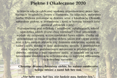 Okladka_piekne_i_okaleczone_aleja